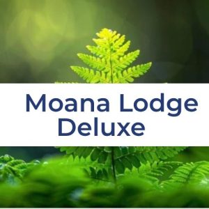 NZ Sacred Sounds Moana Lodge Deluxe Early Bird Payment Plan