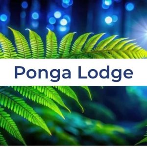 NZ Sacred Sounds Ponga Lodge Early Bird Payment Plan